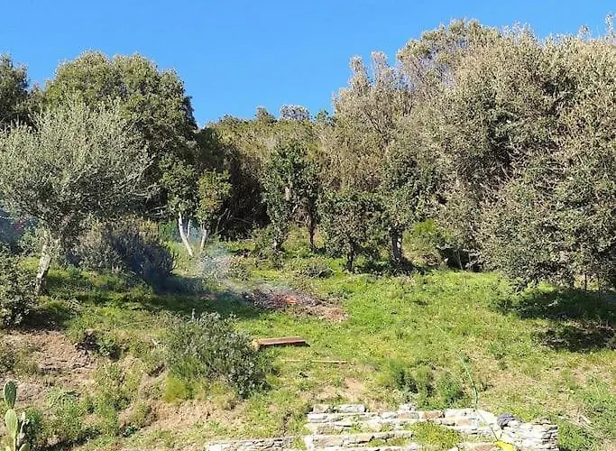 Joli Climatise Semesterbostad